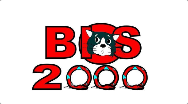 Bios 2000