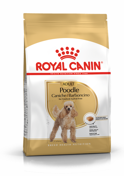 Royal Canin Poodle Adult dry