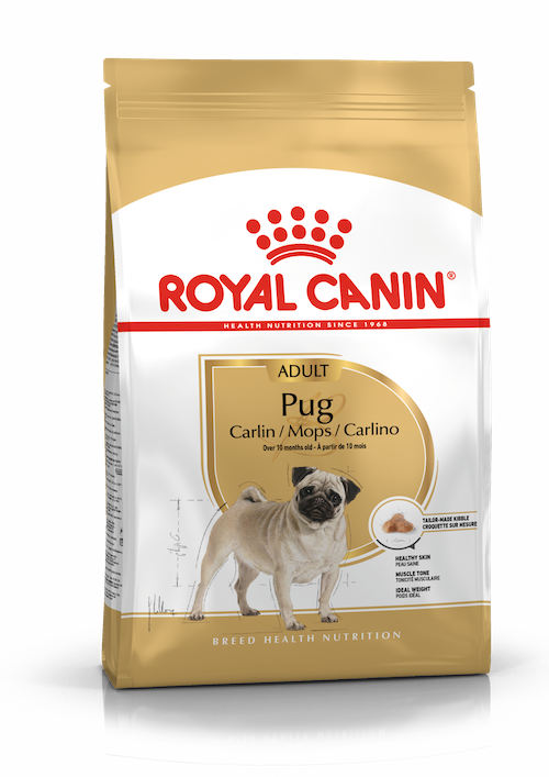 Royal Canin Pug Adult dry