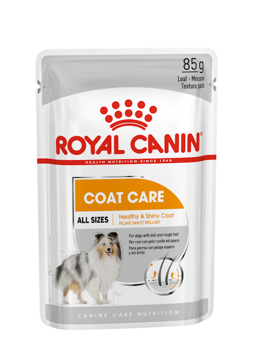 Royal Canin Coat Care wet