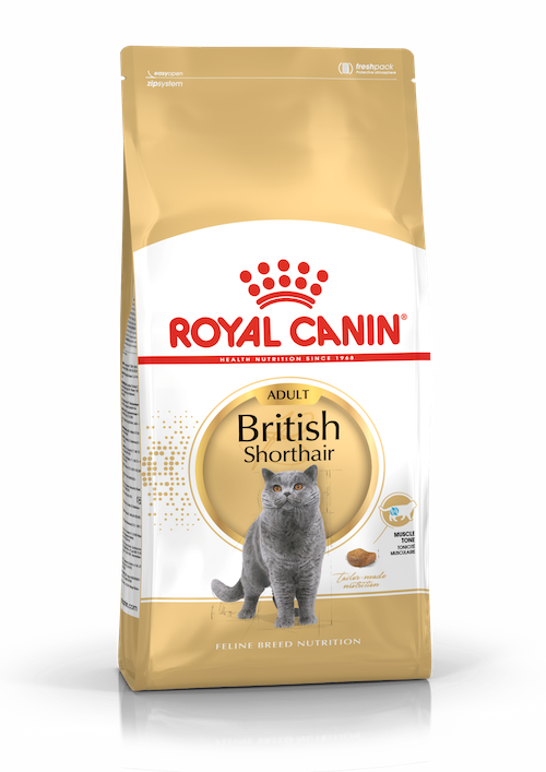 Royal Canin British Shorthair Adult dry