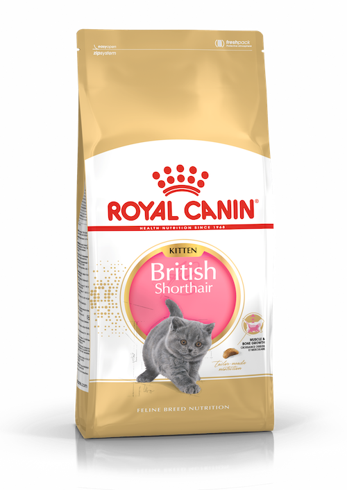 Royal Canin British Shorthair Kitten