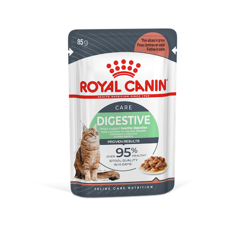Royal Canin Digestive Care wet