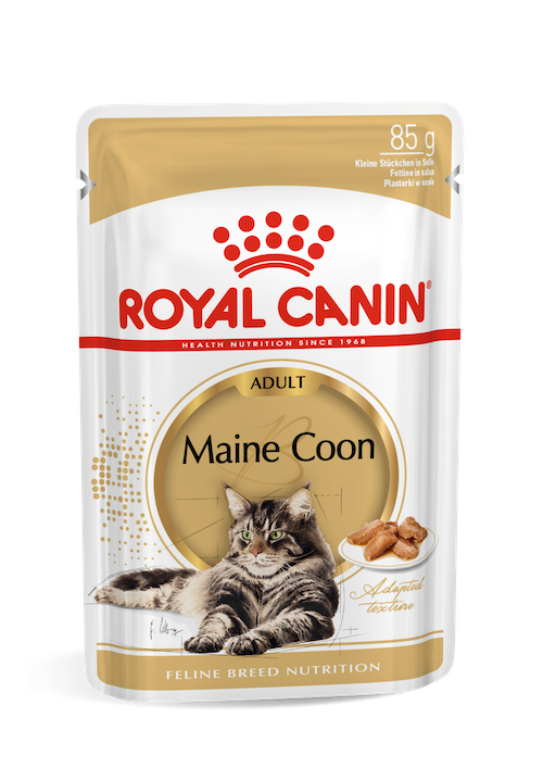Royal Canin  Maine Coon