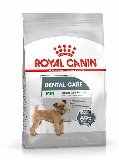 Royal Canin Mini Dental Care dry