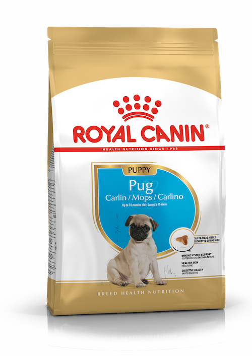 Royal Canin Pug Puppy dry