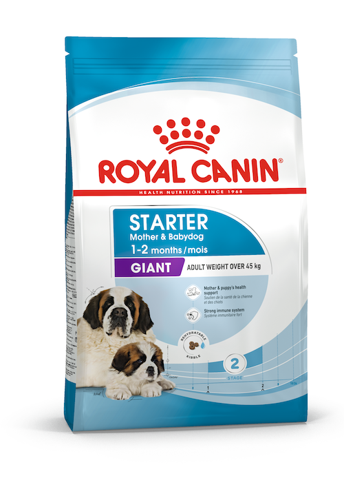 Royal Canin Giant Starter Mother & Babydog dry