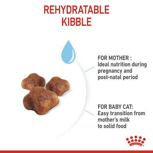 Royal Canin Mother & Babycat dry