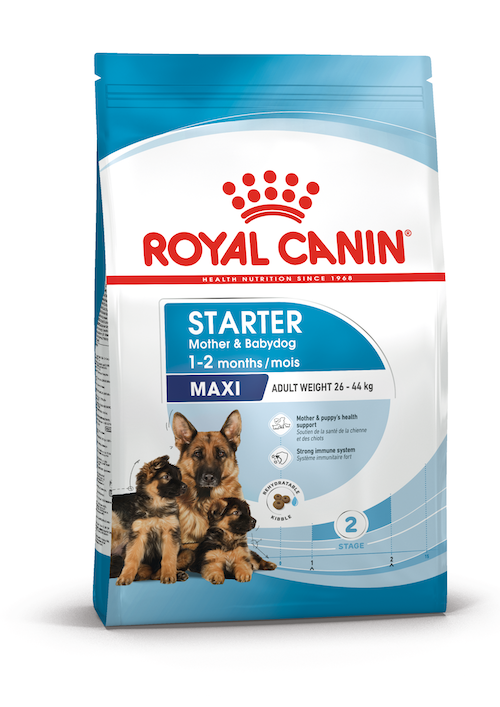 Royal Canin Maxi Starter Mother & Babydog dry