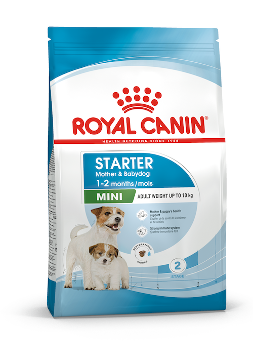 Royal Canin Mini Starter Mother & Babydog dry