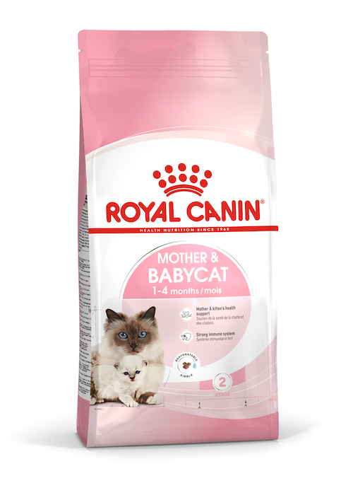 Royal Canin Mother & Babycat dry