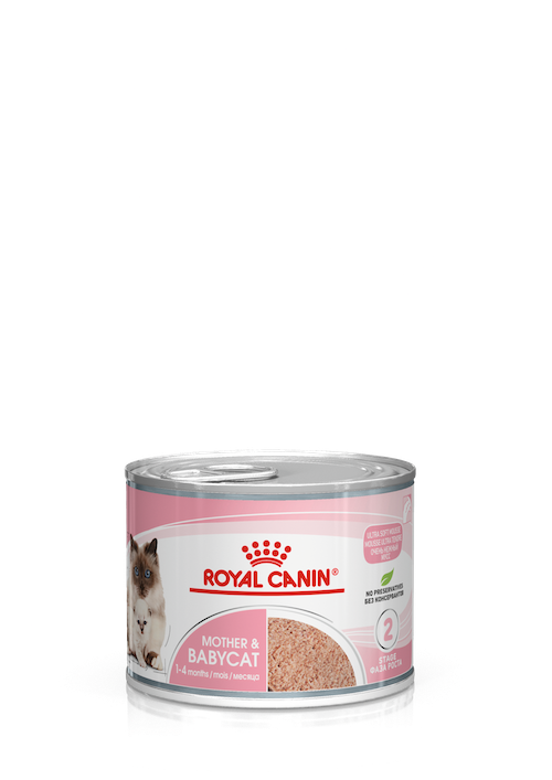 Royal Canin Mother & Babycat wet